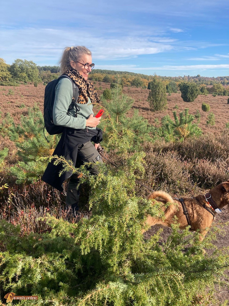 Lüneburger heide