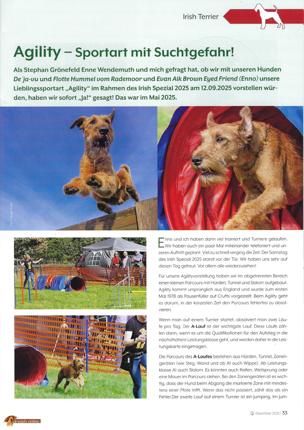 Artikel Agility Seite 1