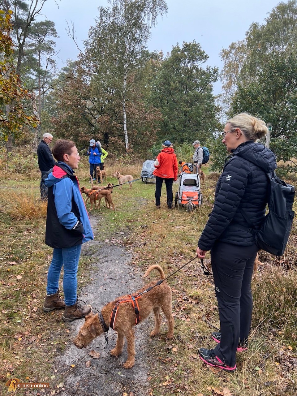 Lüneburger Heide