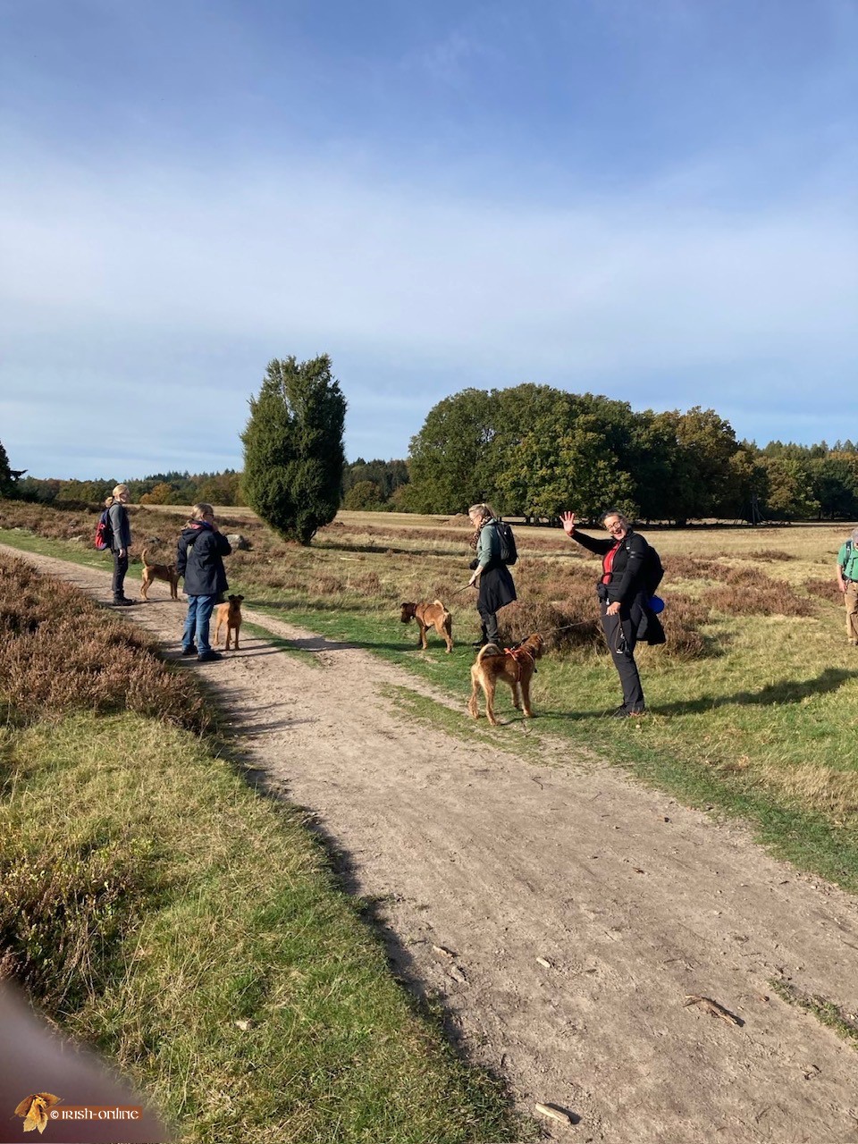 Lüneburger Heide