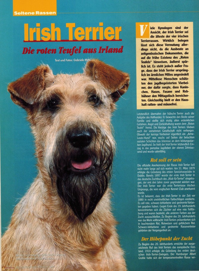 Hunde S. 1-klein1