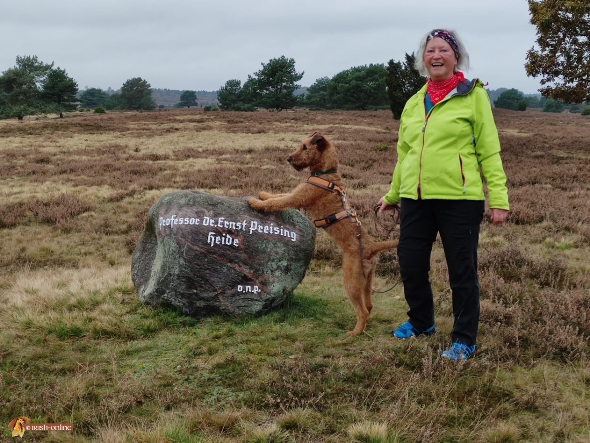 Lüneburger Heide