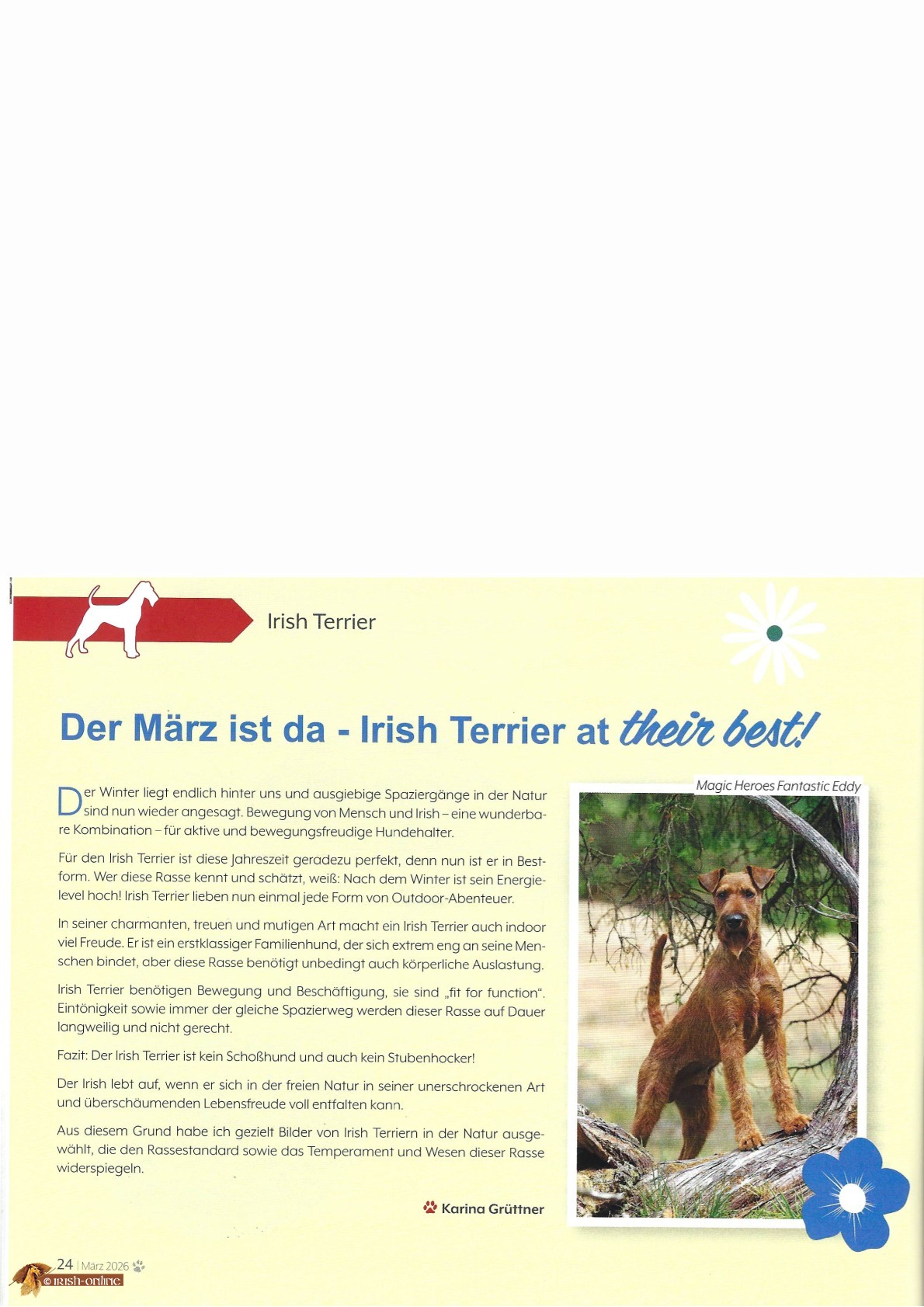 Der März ist da