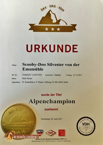 Scooby-Alpenchampion-Urkunde