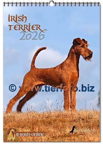 Fotokalender Neddens Titelblatt 2026