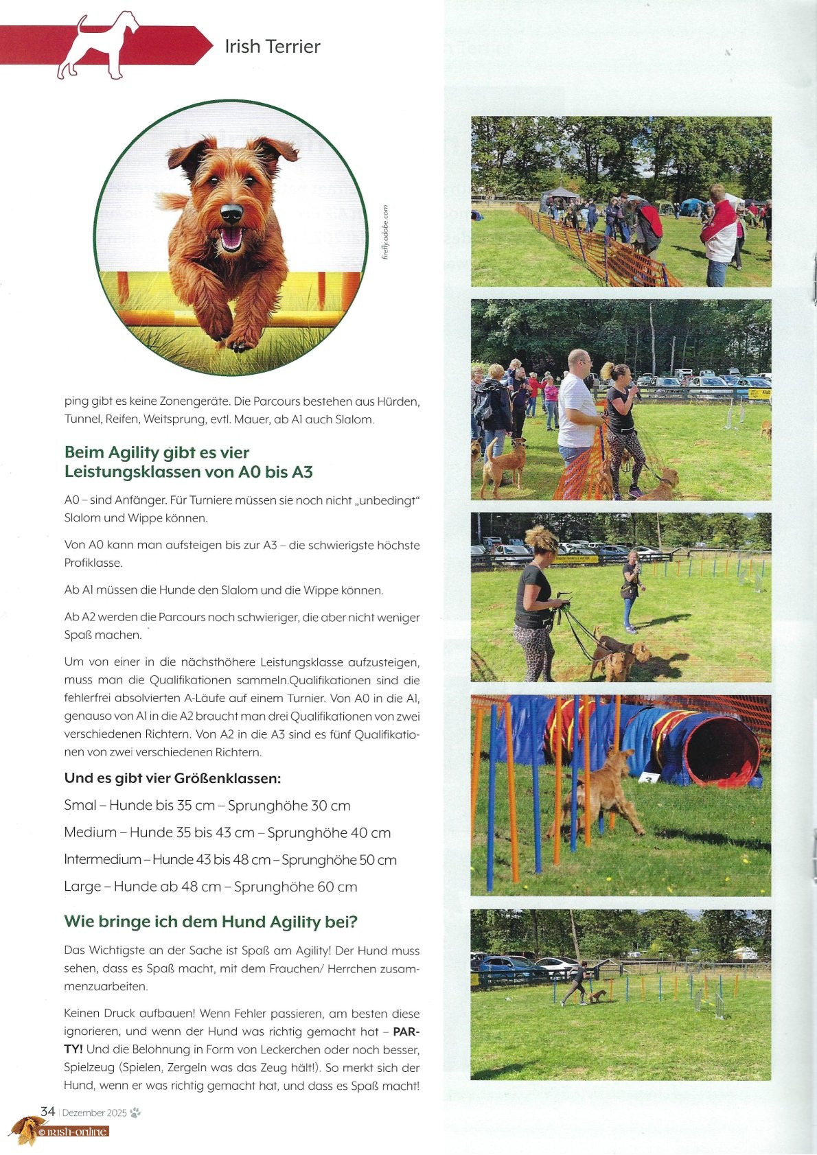Artikel Agility Seite 2