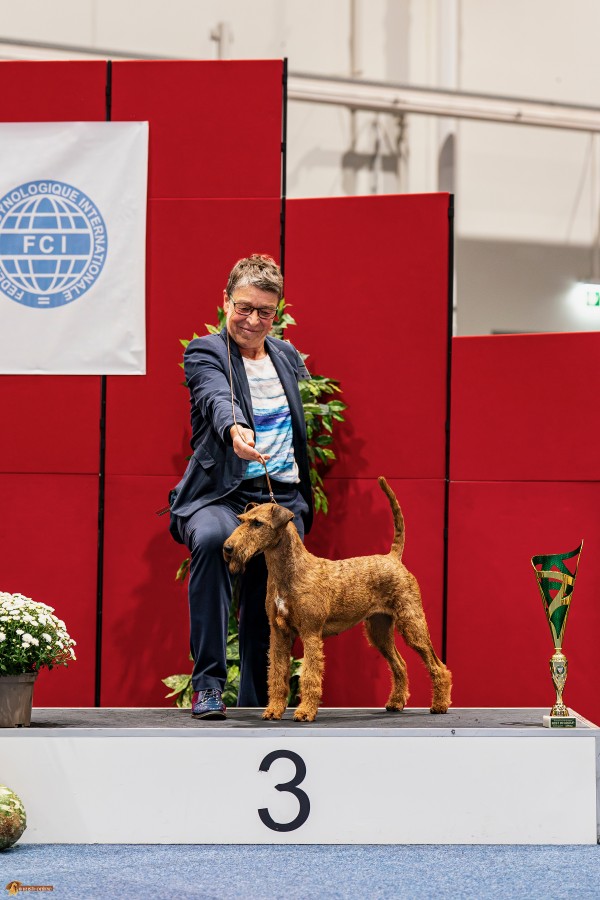 Magic Heroes Coimbra Tulln FCI Gruppe 3. Platz