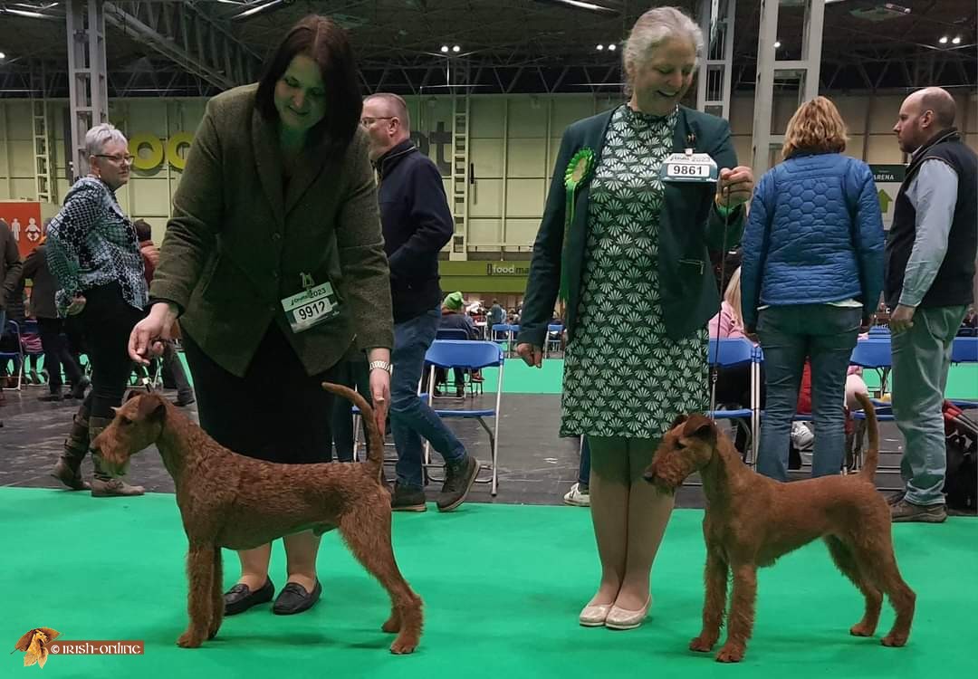 Crufts 2023