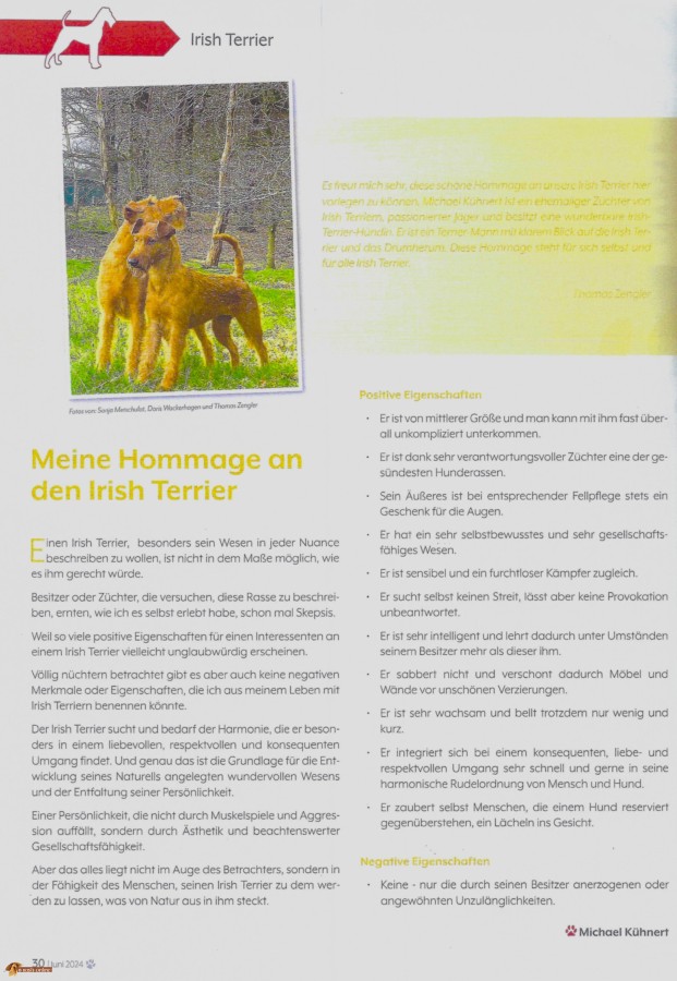 Terrier_062024_Beitrag-Kühnert-neu