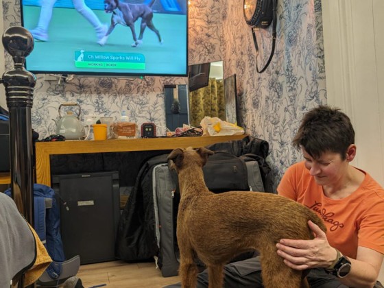Crufts 2024