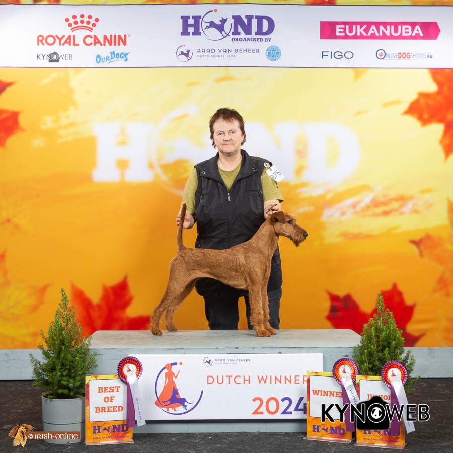 Zeta_NL - Dutch Winner Show Leeuwarden - 01.Dezember 2024