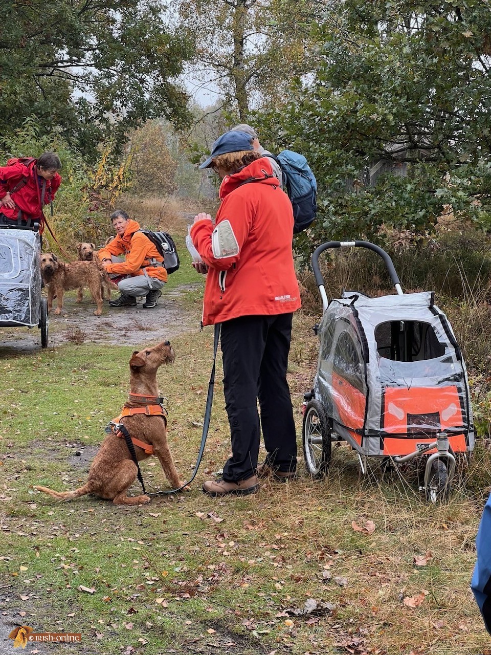 Lüneburger Heide