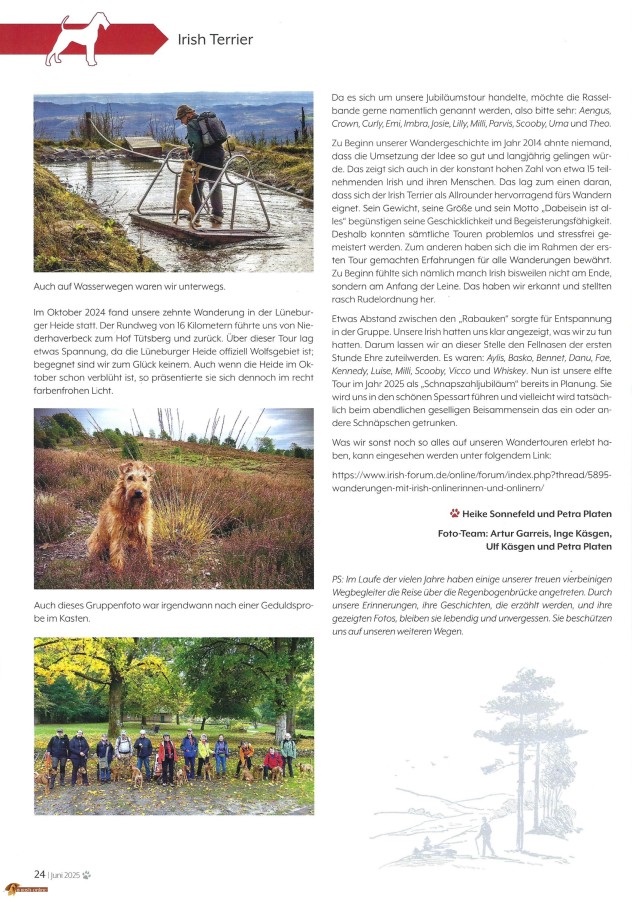 Irish Terrier auf Wanderschaft Seite 3