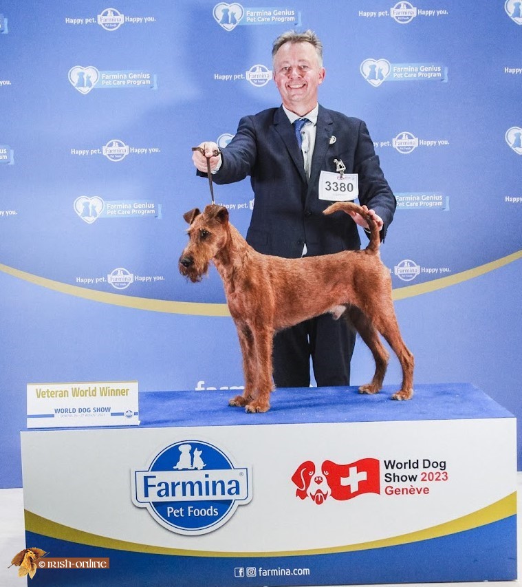 Weltveteranensieger 2023 Mylord Merlin von der Weinbergsquelle