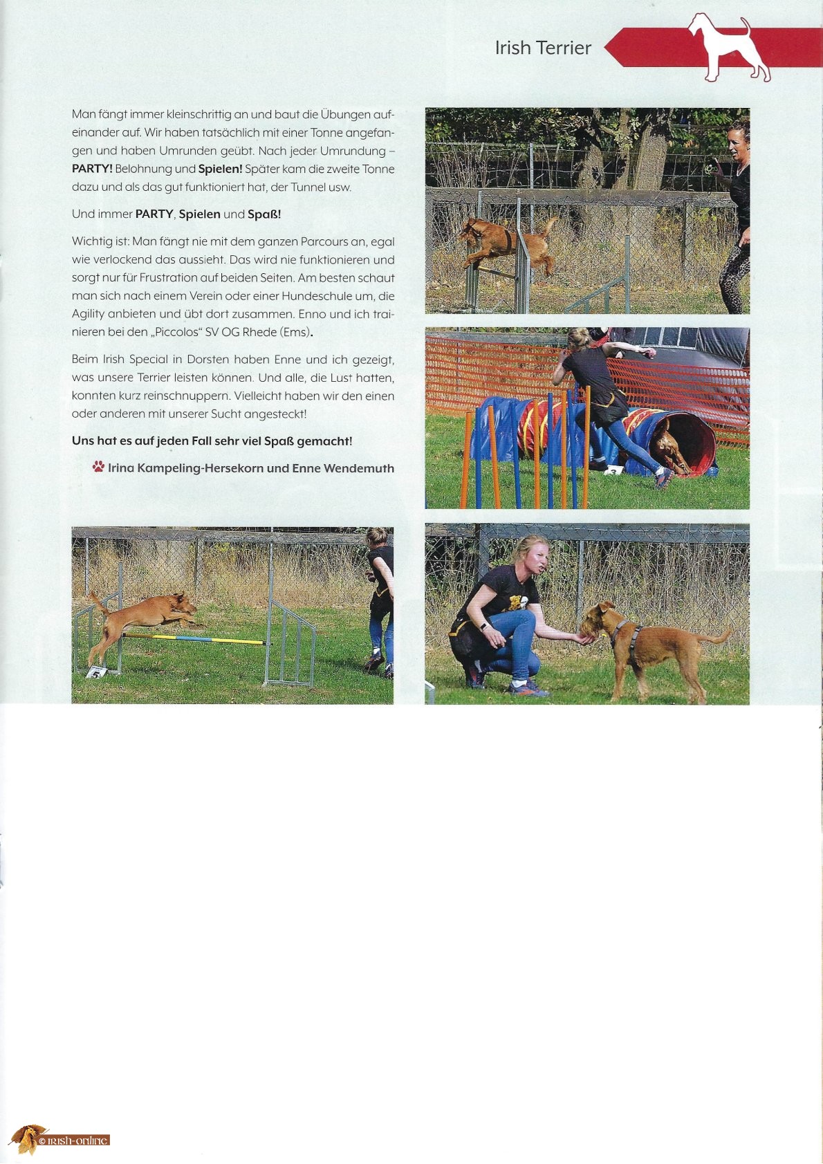 Artikel Agility Seite 3