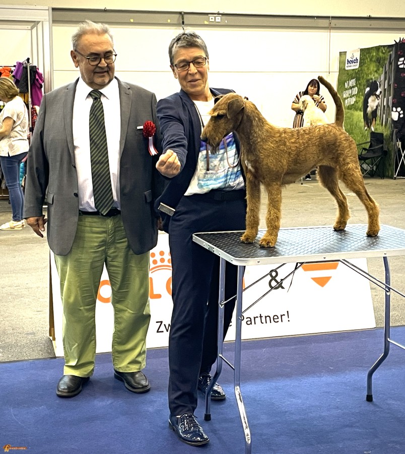 Magic Heroes Coimbra