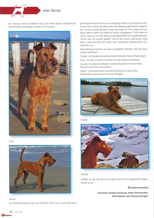 Hommage an die S-Klasse S. 2