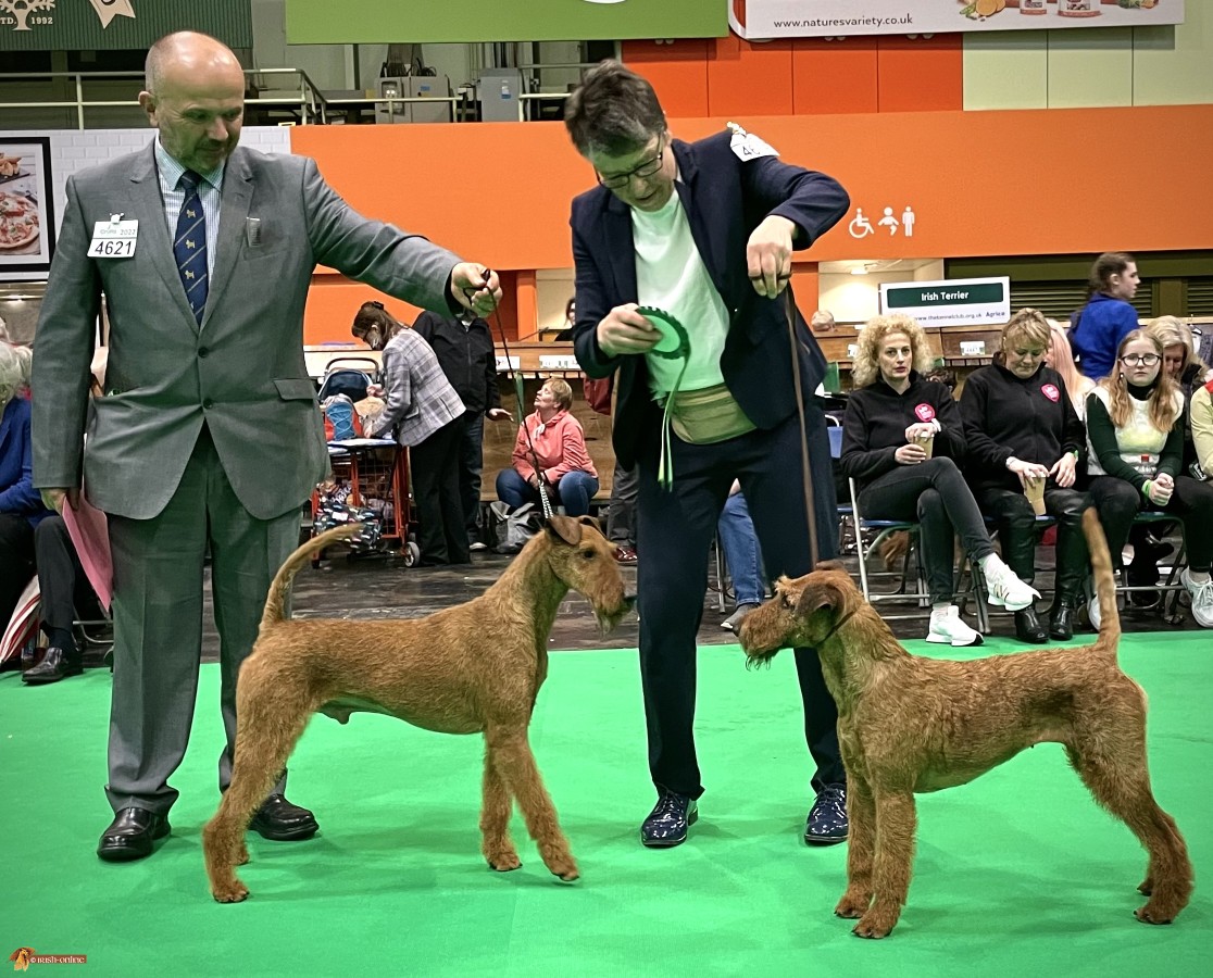 Coimbra Crufts 2022