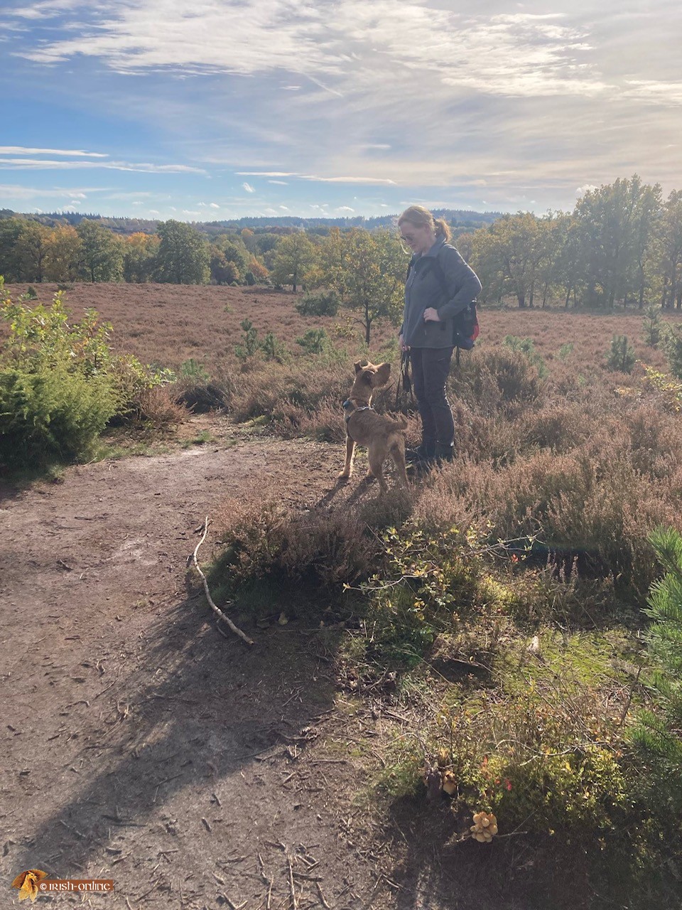 Lüneburger Heide