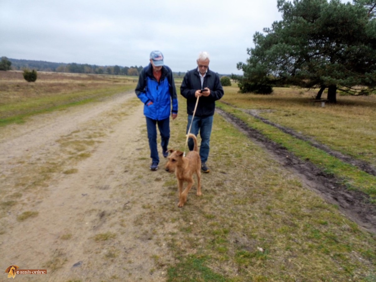 Lüneburger heide