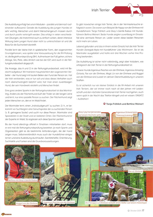 Rettungshundearbeit S. 2