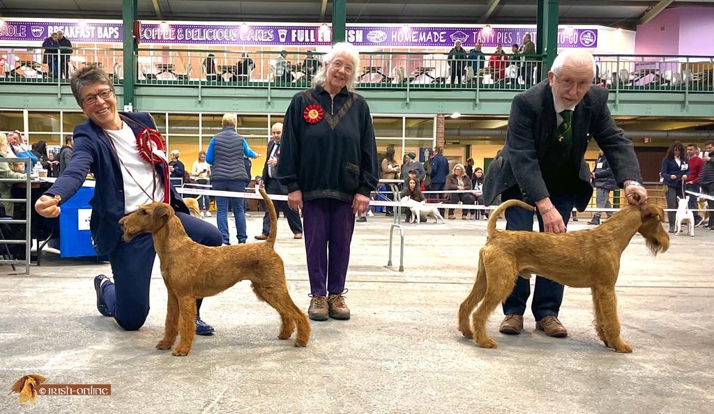 National Terrier Championship Show 2022