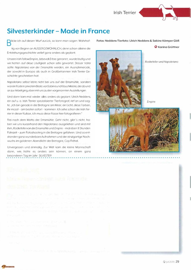 Silvesterkinder - Made in France