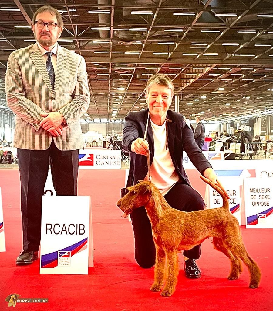 European Dog Show Paris 2022