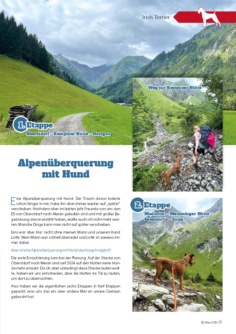 Der_Terrier_0325-Alpenüberquerung-1